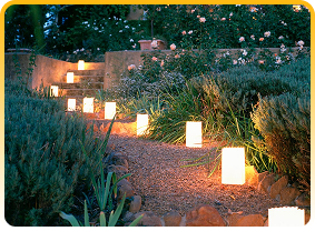 Expert Lighting Upgrades In South Sydney 28 Outdoor Garden Lighting Thumbnail