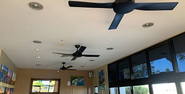 Ceiling Fan Installation